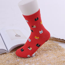 Load image into Gallery viewer, Jeseca 2020 Autumn Women Socks Cartoon Animal Cute Cat Sock for Girls Winter Thick Warm Cotton Sock for Ladies Christmas Gifts