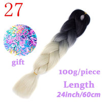 Load image into Gallery viewer, LISI HAIR Jumbo Braids Long Ombre Jumbo Synthetic Braiding Hair Crochet Blonde Pink Blue Grey Hair Extensions African Viscera