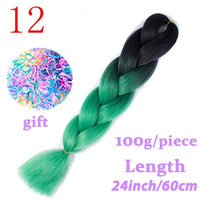 Load image into Gallery viewer, LISI HAIR Jumbo Braids Long Ombre Jumbo Synthetic Braiding Hair Crochet Blonde Pink Blue Grey Hair Extensions African Viscera