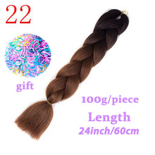 Load image into Gallery viewer, LISI HAIR Jumbo Braids Long Ombre Jumbo Synthetic Braiding Hair Crochet Blonde Pink Blue Grey Hair Extensions African Viscera
