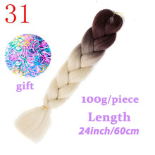 Load image into Gallery viewer, LISI HAIR Jumbo Braids Long Ombre Jumbo Synthetic Braiding Hair Crochet Blonde Pink Blue Grey Hair Extensions African Viscera