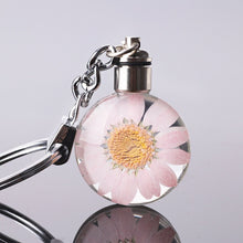 Load image into Gallery viewer, Luyun Small fresh dried flower keychain round crystal glass key chain key ring Wholesale
