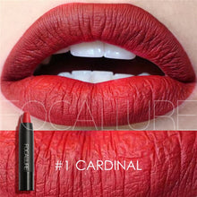 Load image into Gallery viewer, FOCALLURE 19 Colors Matte Lipsticks Waterproof Matte Lipstick Lip Sticks Cosmetic Easy to Wear Matte Batom Makeup Lipstick
