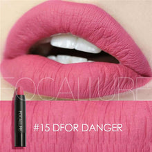Load image into Gallery viewer, FOCALLURE 19 Colors Matte Lipsticks Waterproof Matte Lipstick Lip Sticks Cosmetic Easy to Wear Matte Batom Makeup Lipstick
