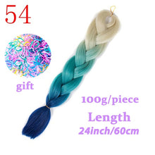 Load image into Gallery viewer, LISI HAIR Jumbo Braids Long Ombre Jumbo Synthetic Braiding Hair Crochet Blonde Pink Blue Grey Hair Extensions African Viscera
