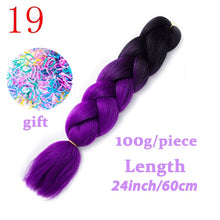 Load image into Gallery viewer, LISI HAIR Jumbo Braids Long Ombre Jumbo Synthetic Braiding Hair Crochet Blonde Pink Blue Grey Hair Extensions African Viscera
