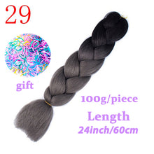 Load image into Gallery viewer, LISI HAIR Jumbo Braids Long Ombre Jumbo Synthetic Braiding Hair Crochet Blonde Pink Blue Grey Hair Extensions African Viscera
