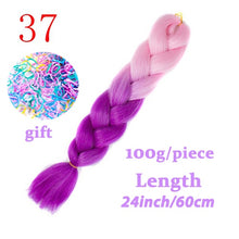 Load image into Gallery viewer, LISI HAIR Jumbo Braids Long Ombre Jumbo Synthetic Braiding Hair Crochet Blonde Pink Blue Grey Hair Extensions African Viscera
