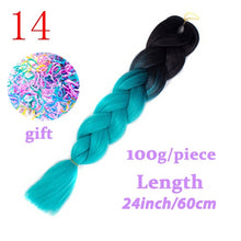 Load image into Gallery viewer, LISI HAIR Jumbo Braids Long Ombre Jumbo Synthetic Braiding Hair Crochet Blonde Pink Blue Grey Hair Extensions African Viscera
