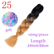 Load image into Gallery viewer, LISI HAIR Jumbo Braids Long Ombre Jumbo Synthetic Braiding Hair Crochet Blonde Pink Blue Grey Hair Extensions African Viscera
