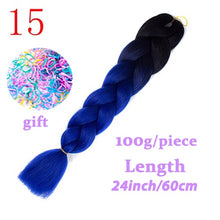 Load image into Gallery viewer, LISI HAIR Jumbo Braids Long Ombre Jumbo Synthetic Braiding Hair Crochet Blonde Pink Blue Grey Hair Extensions African Viscera
